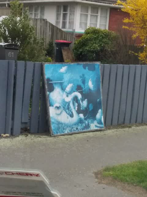 Rubbish/Recycling, a report photo