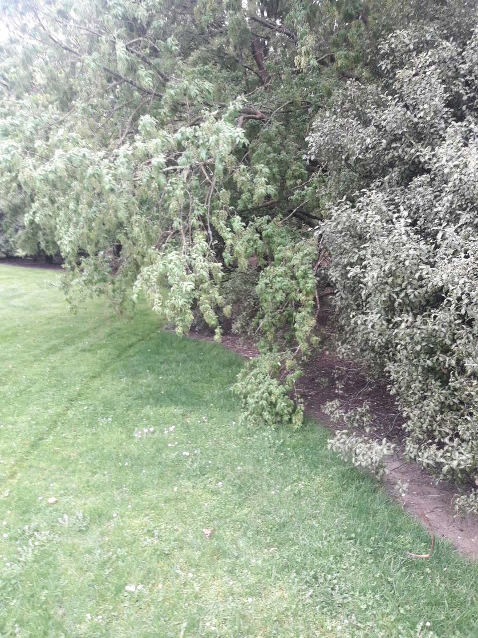 The photograph attached to this parks report