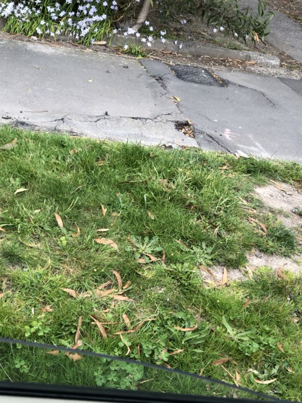 The photograph attached to this roading/streets report