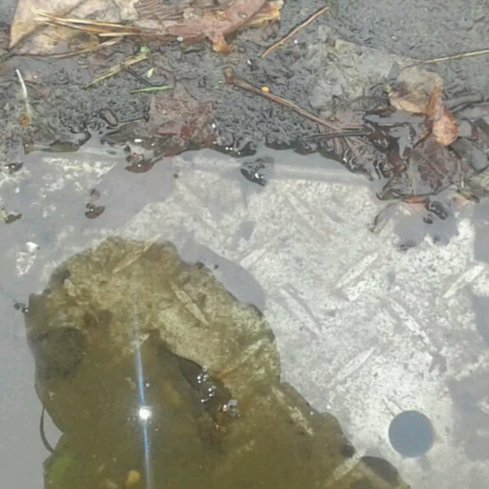The photograph attached to this wastewater/stormwater report