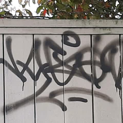 Graffiti, a report photo