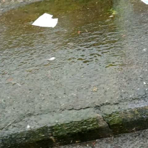 Water Supply, a report photo
