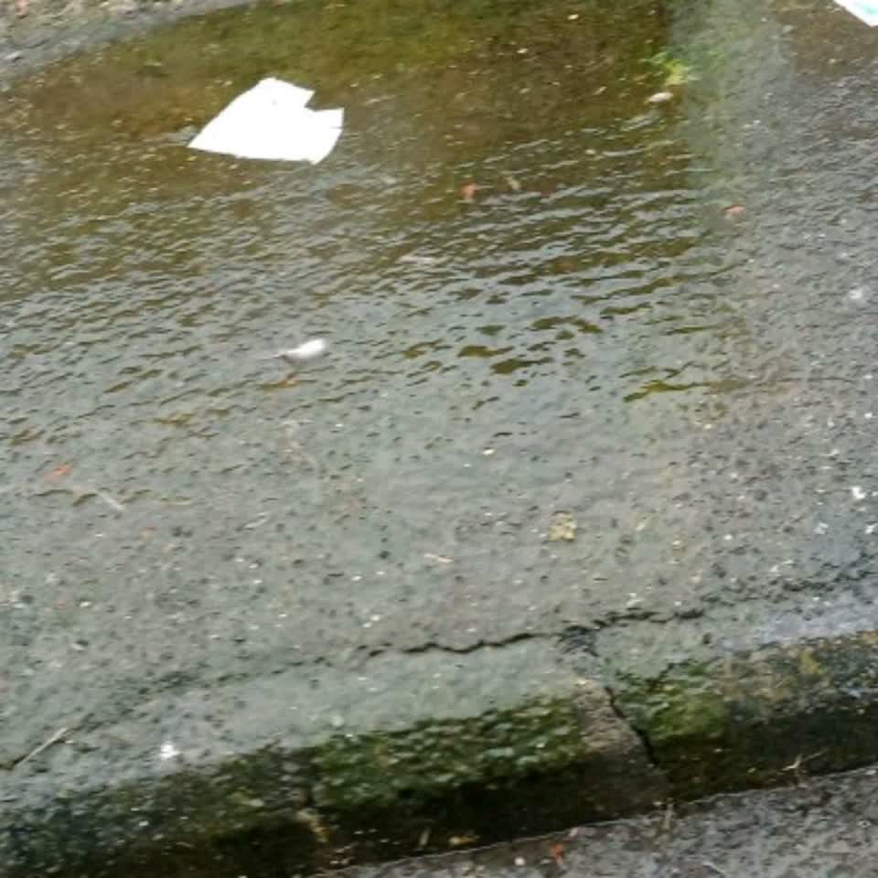 The photograph attached to this water supply report