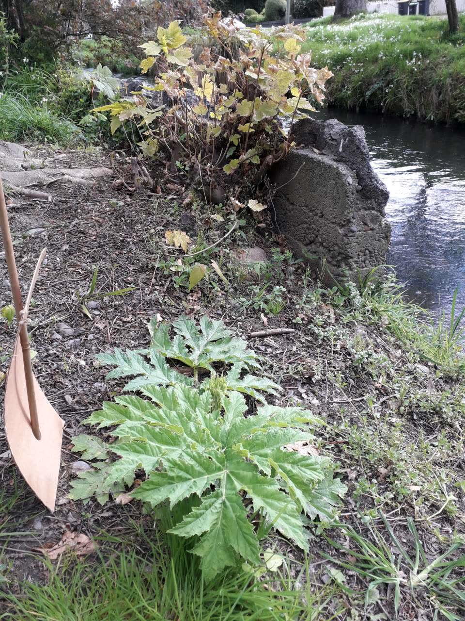 The photograph attached to this parks report