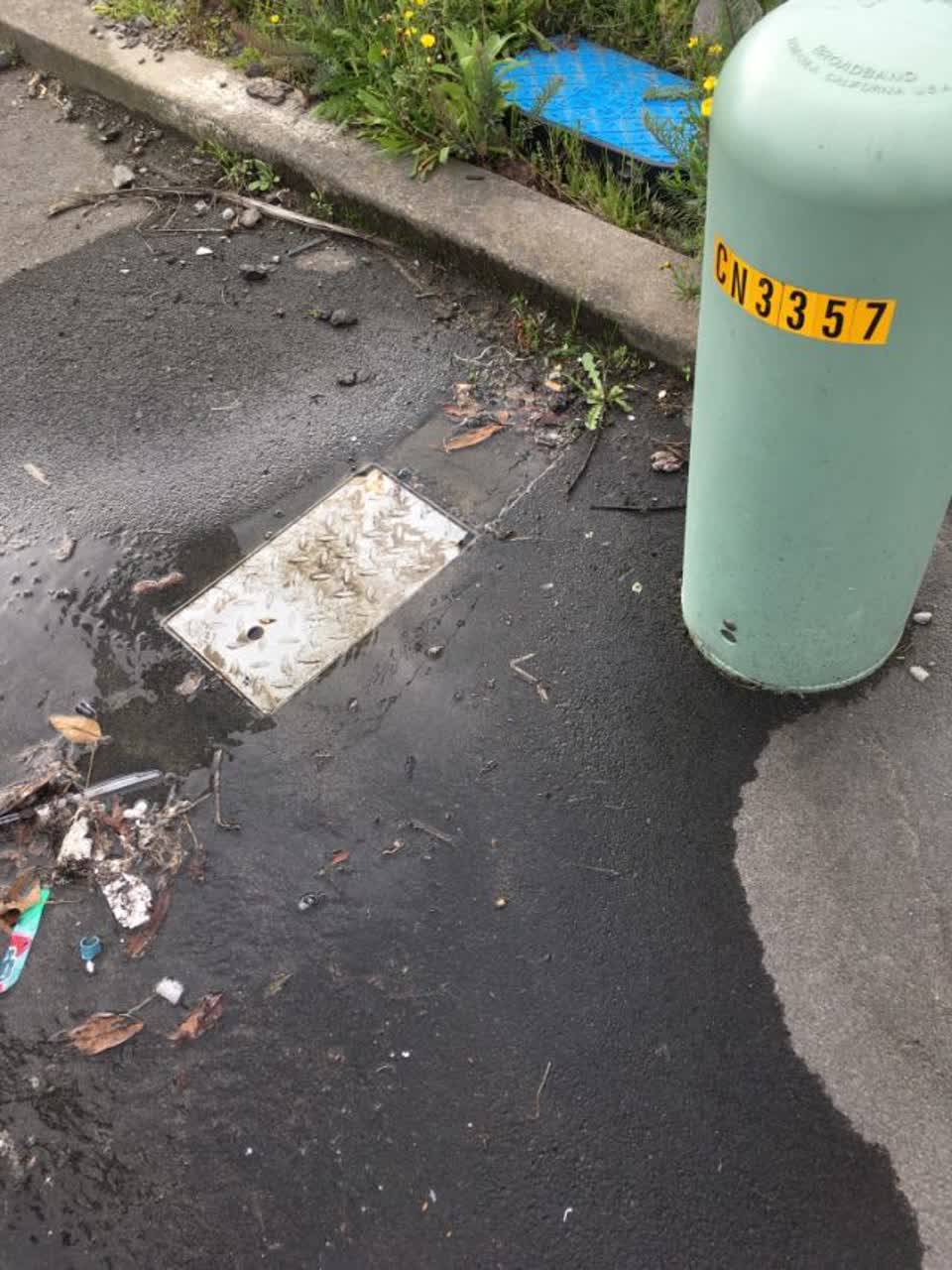 The photograph attached to this roading/streets report