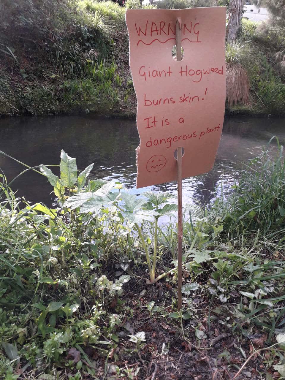 The photograph attached to this parks report