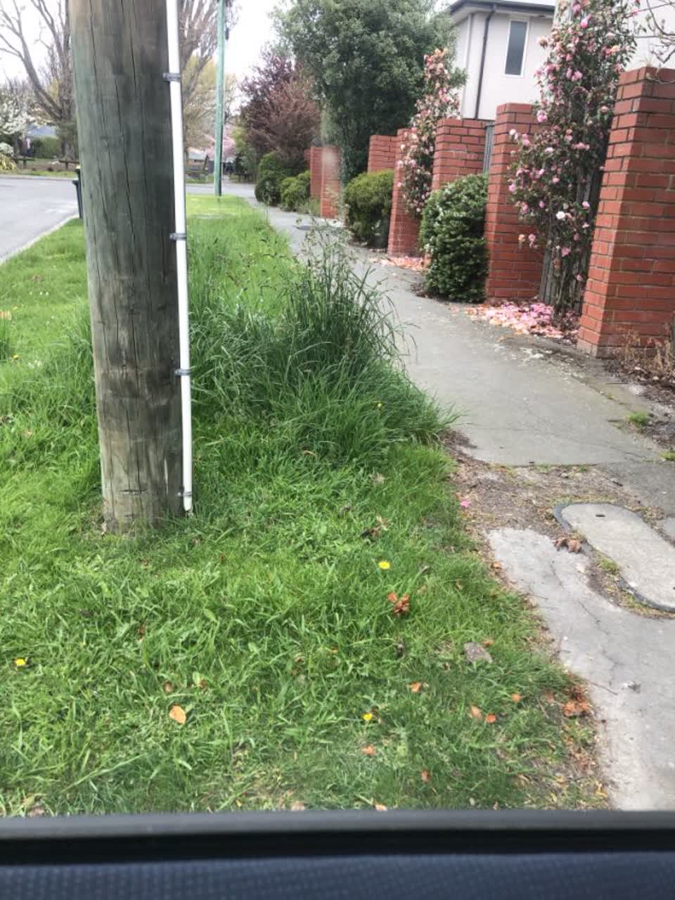 The photograph attached to this parks report