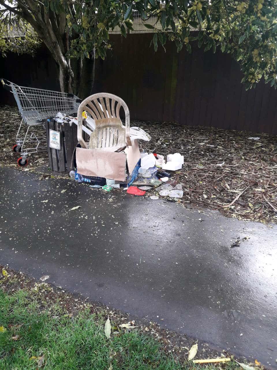 The photograph attached to this parks report