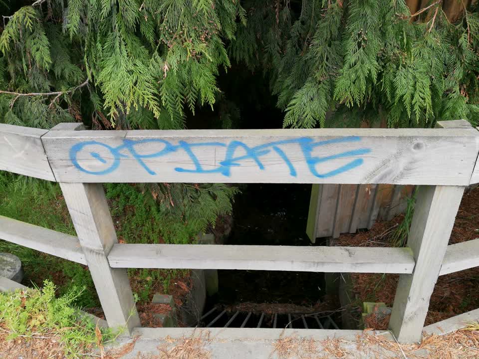 The photograph attached to this graffiti report
