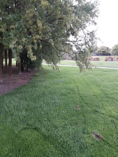 Parks, a report photo