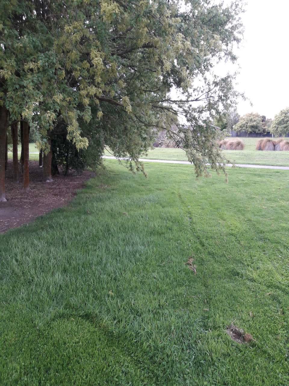 The photograph attached to this parks report