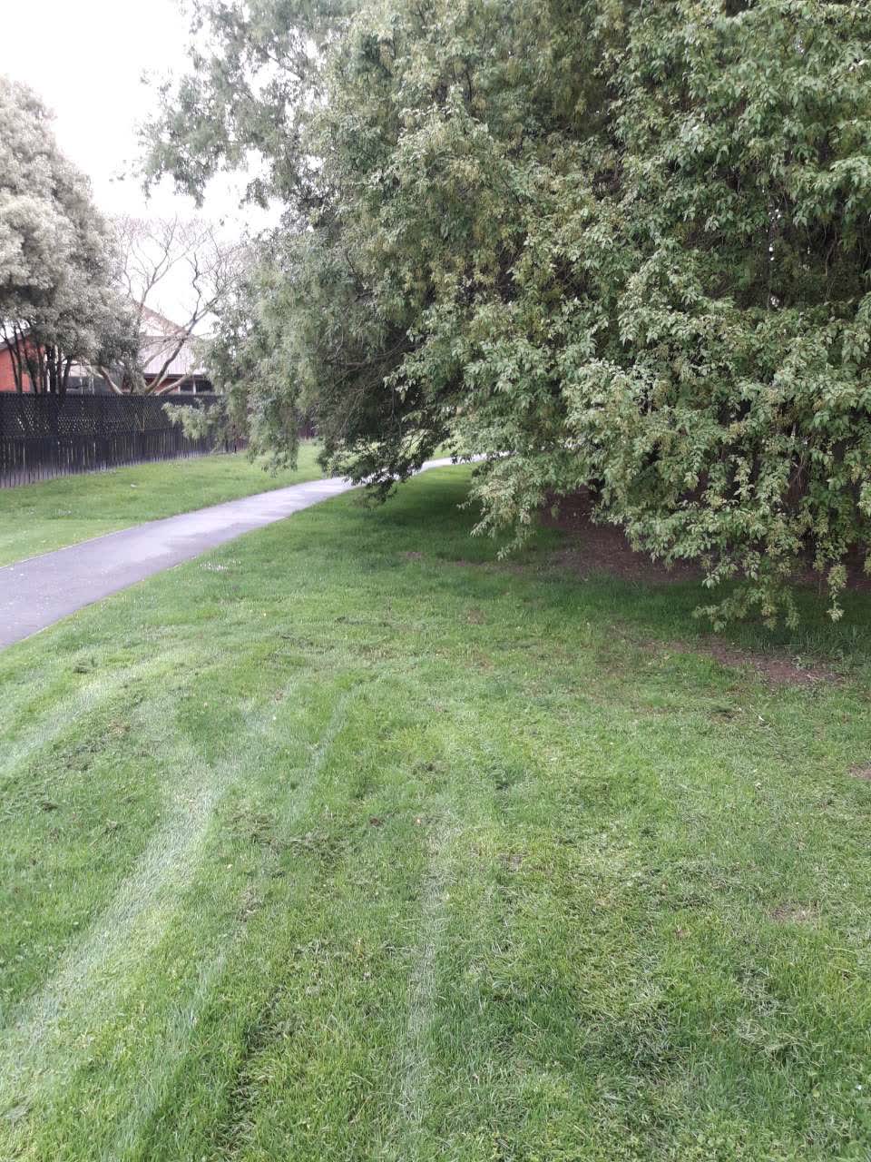 The photograph attached to this parks report