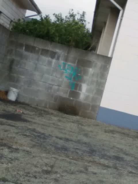 Graffiti, a report photo