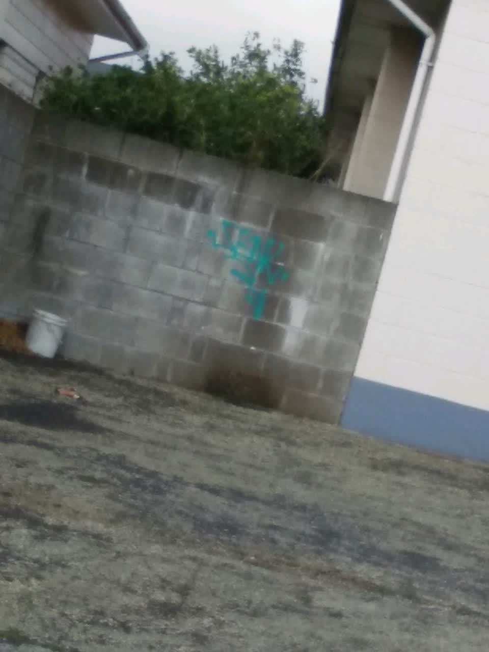 The photograph attached to this graffiti report