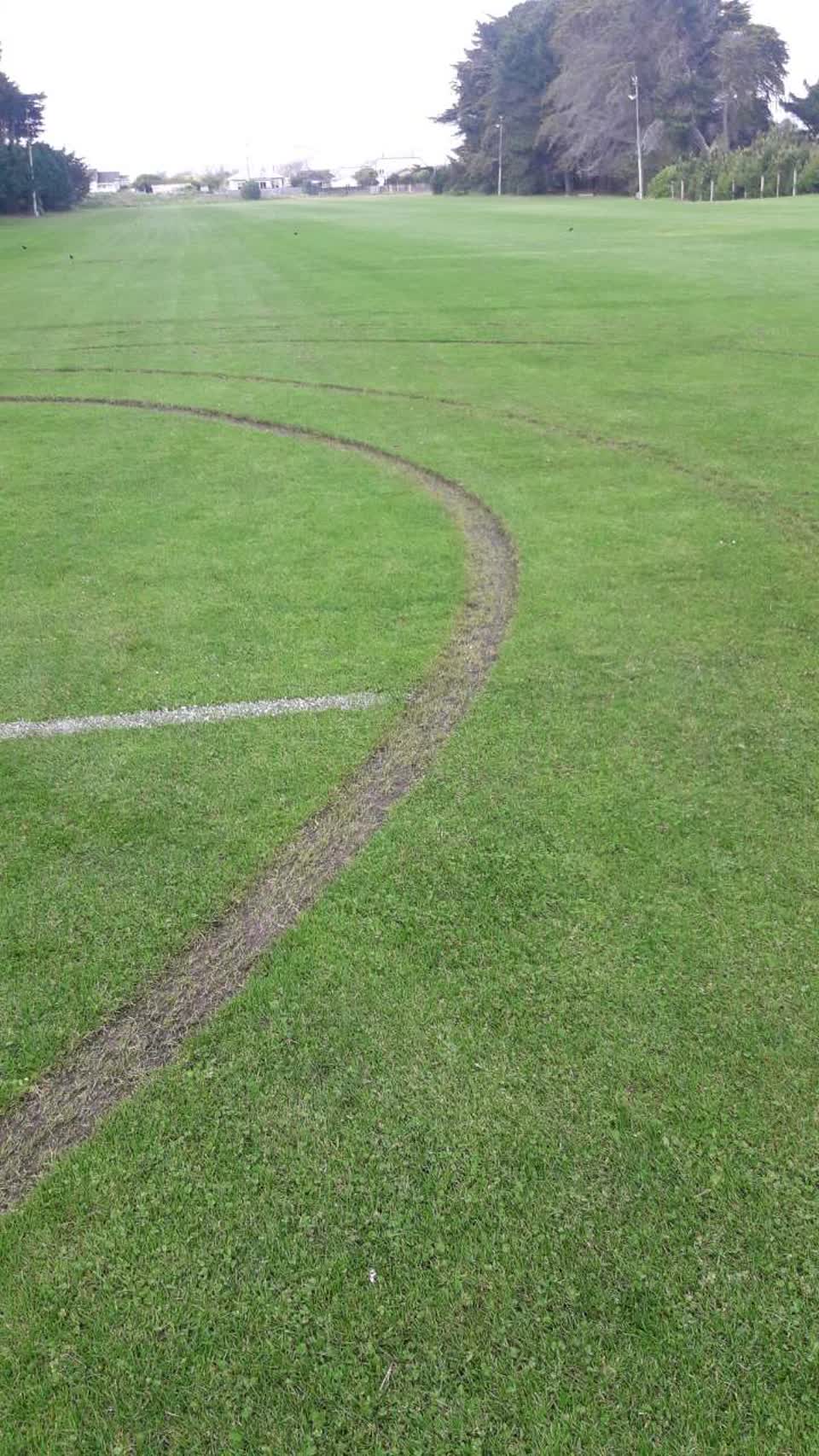 The photograph attached to this parks report