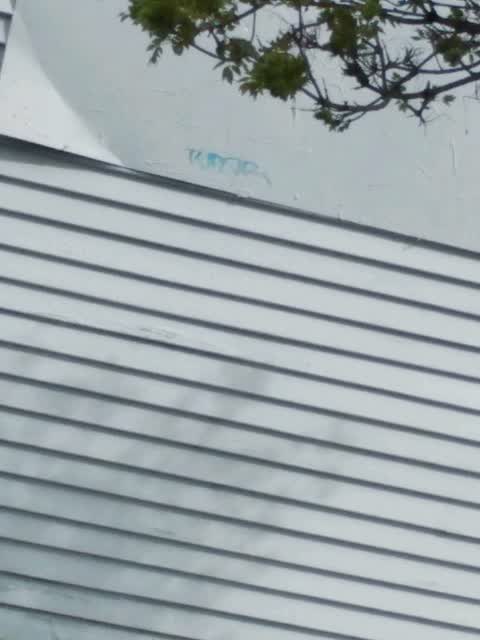 Graffiti — a report photo