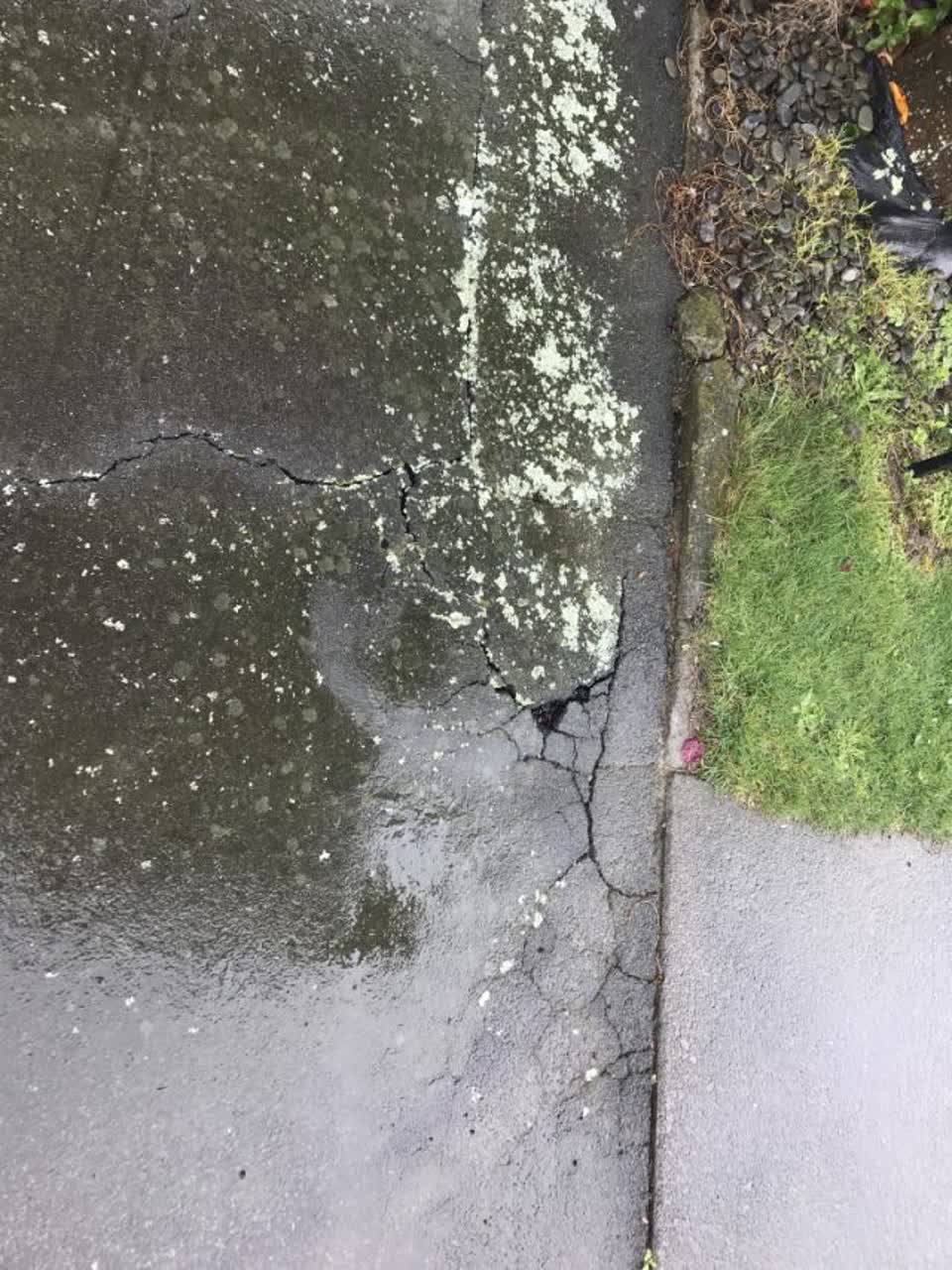 The photograph attached to this roading/streets report