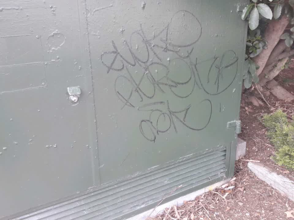 The photograph attached to this graffiti report