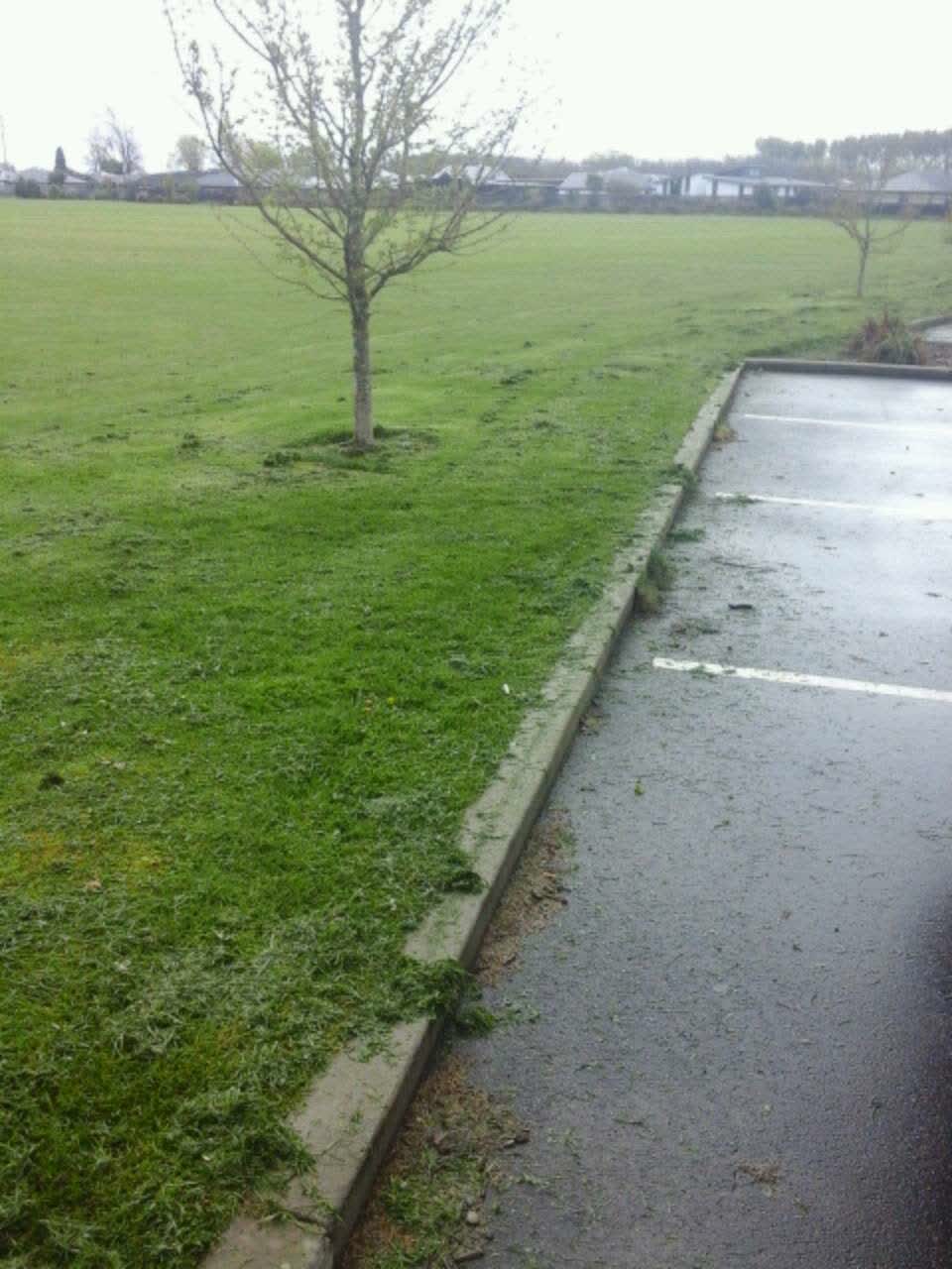 The photograph attached to this parks report