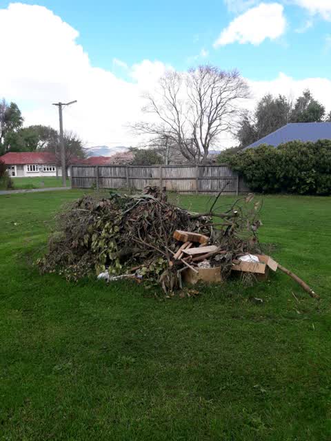 Parks, a report photo