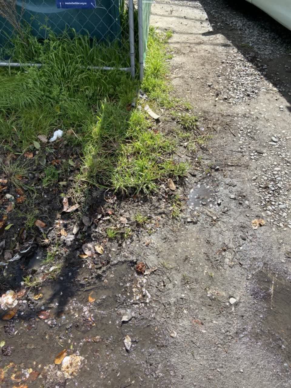 The photograph attached to this flooding report