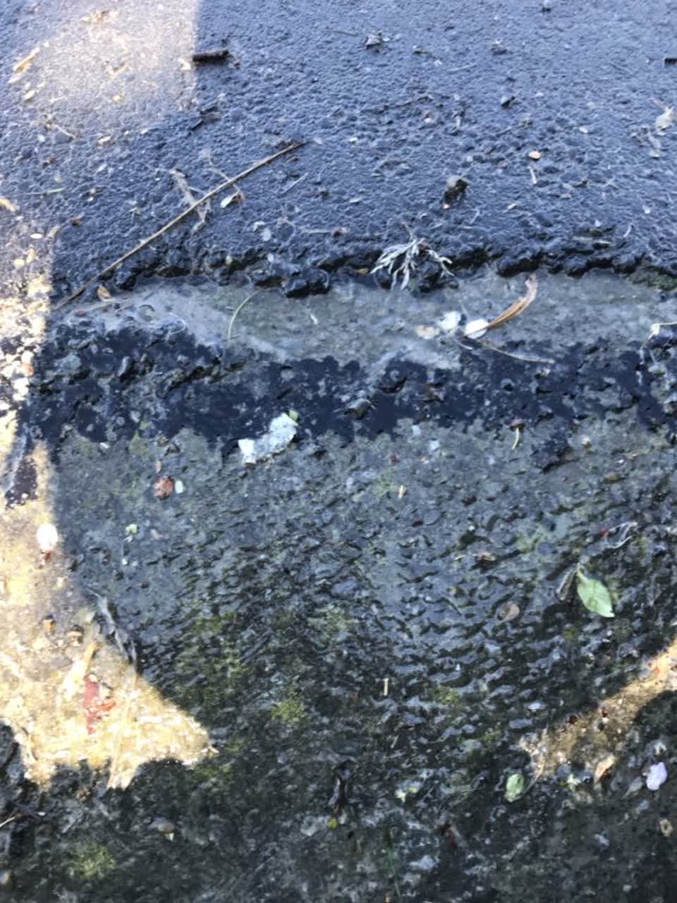 The photograph attached to this water supply report