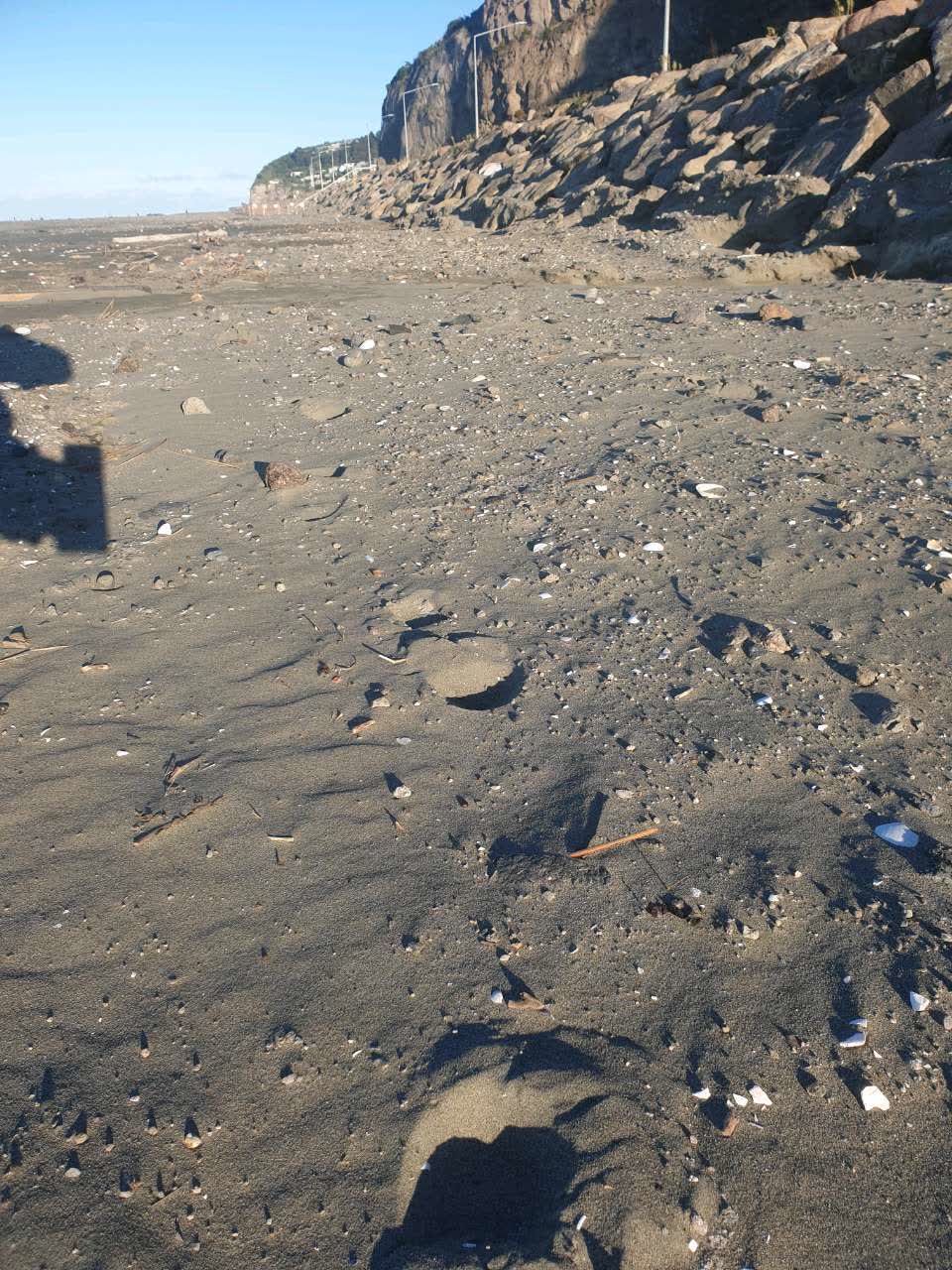The photograph attached to this parks report