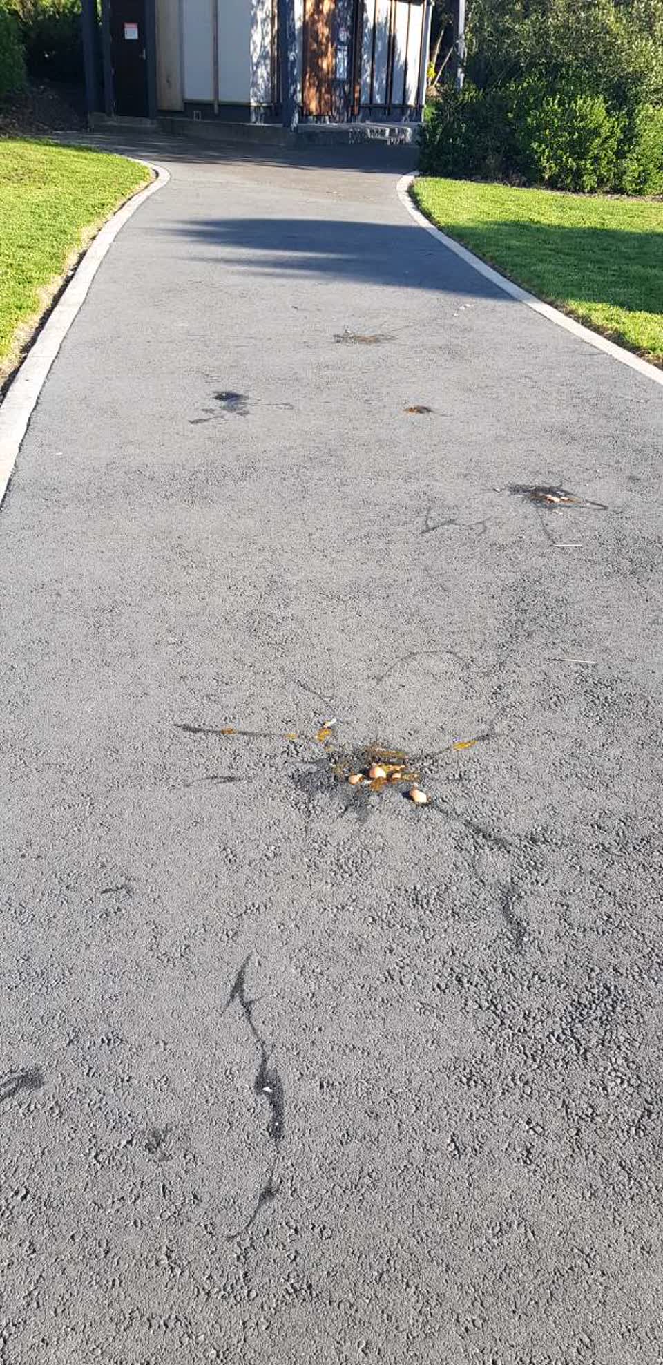 The photograph attached to this parks report