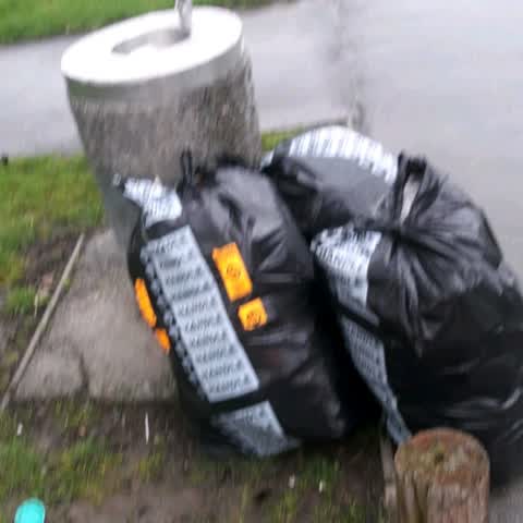 Parks, a report photo