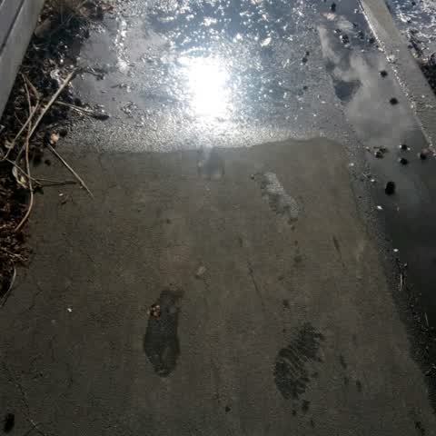 Wastewater/Stormwater, a report photo