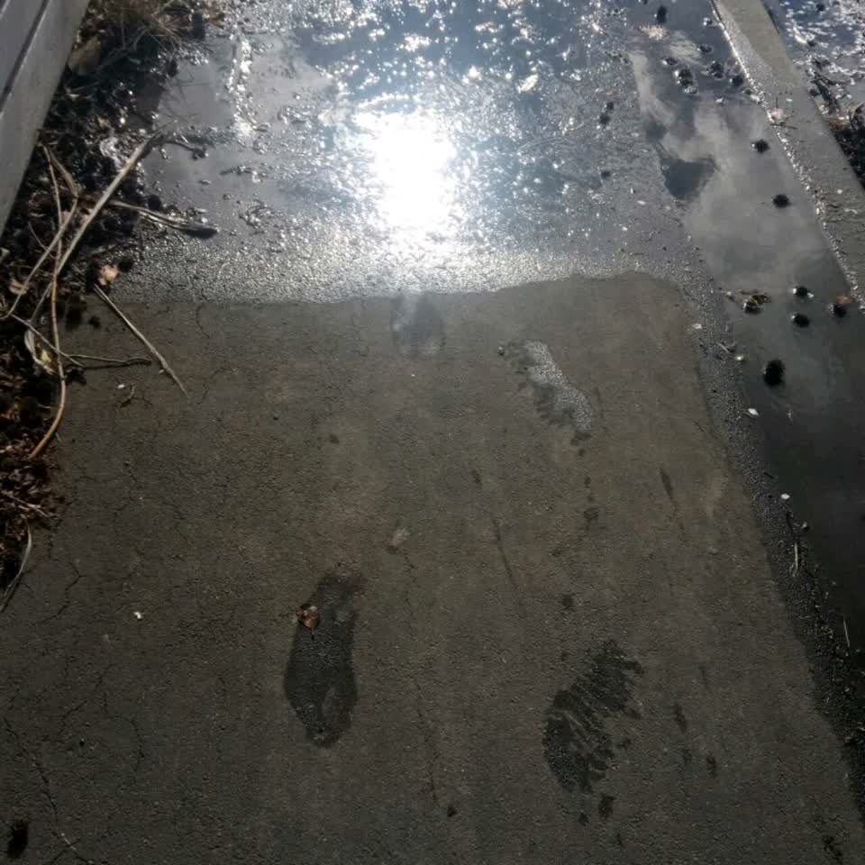 The photograph attached to this wastewater/stormwater report