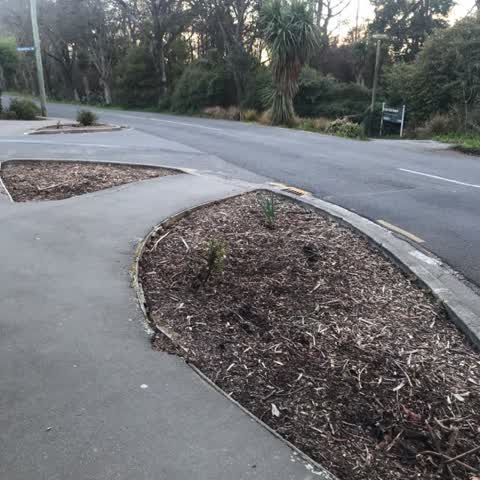Parks, a report photo