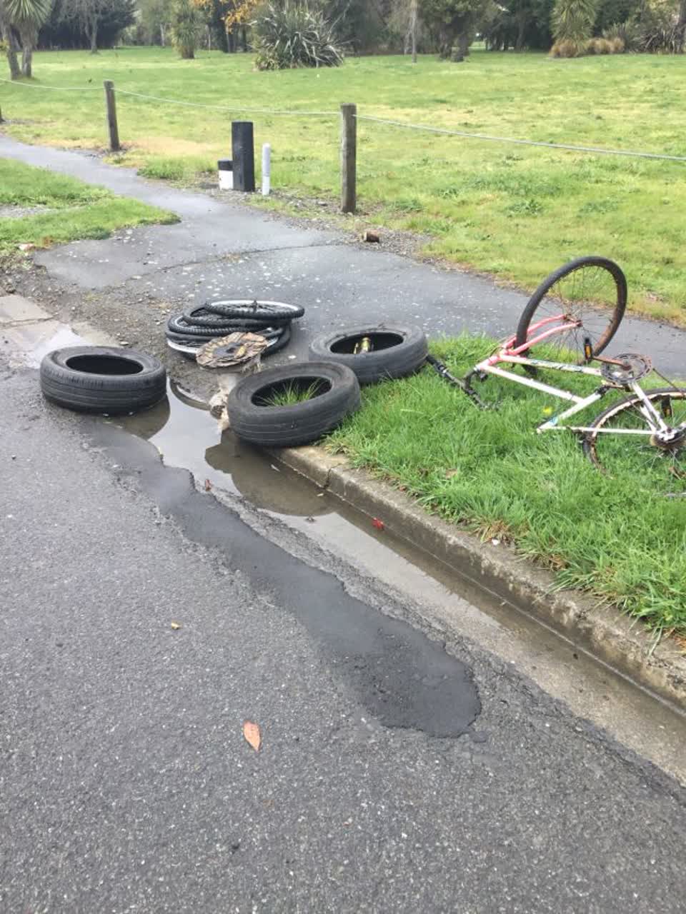 The photograph attached to this rubbish/recycling report