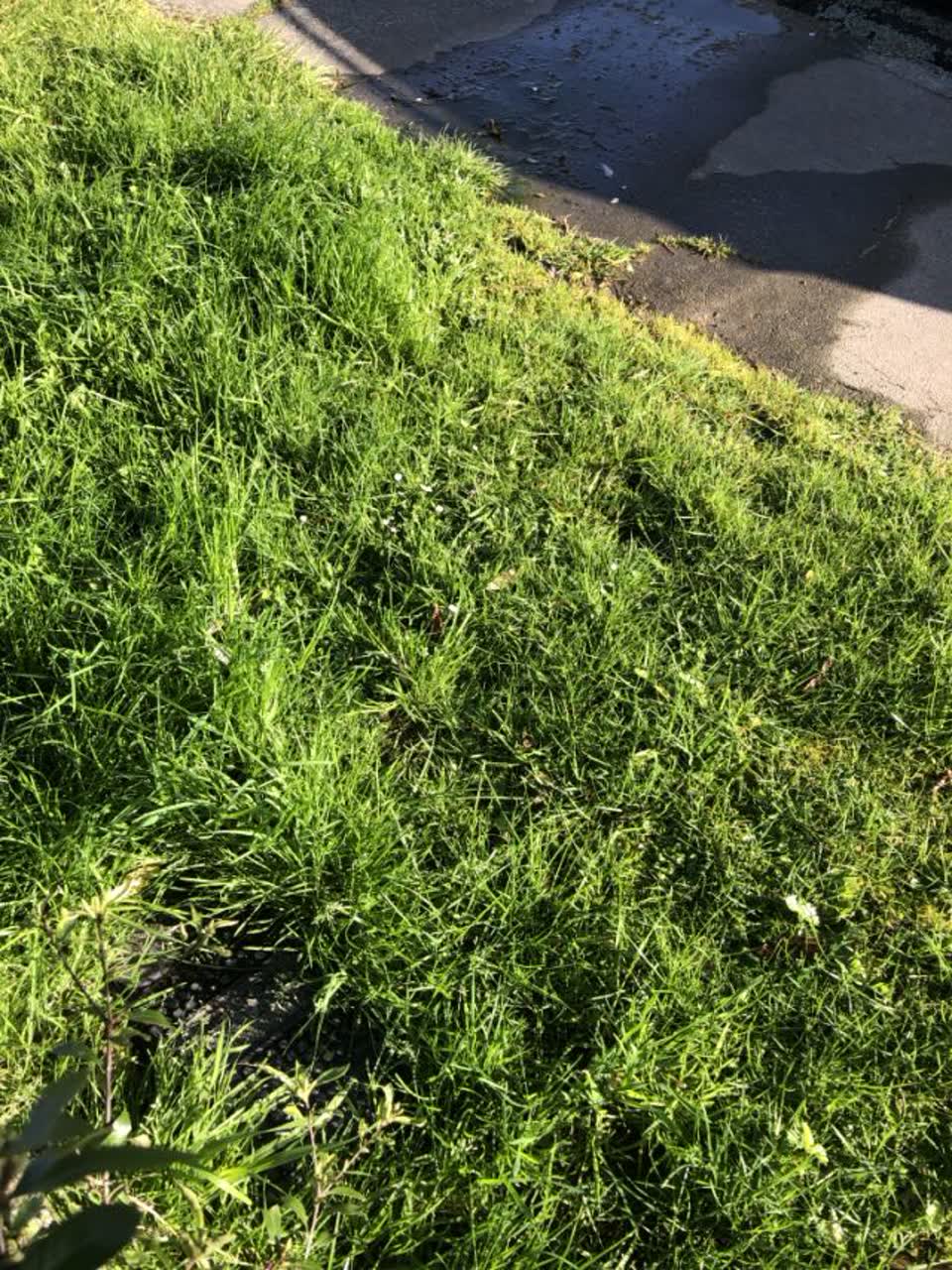 The photograph attached to this water supply report