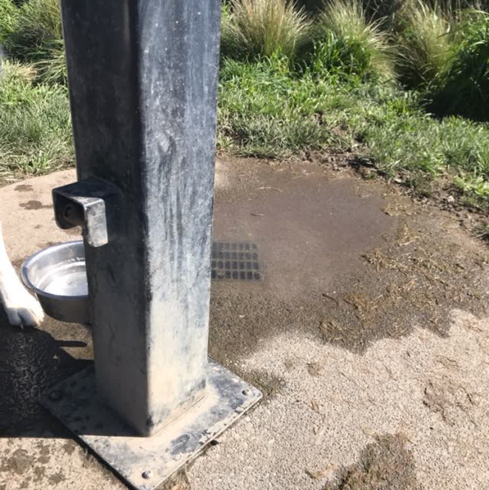 The photograph attached to this parks report