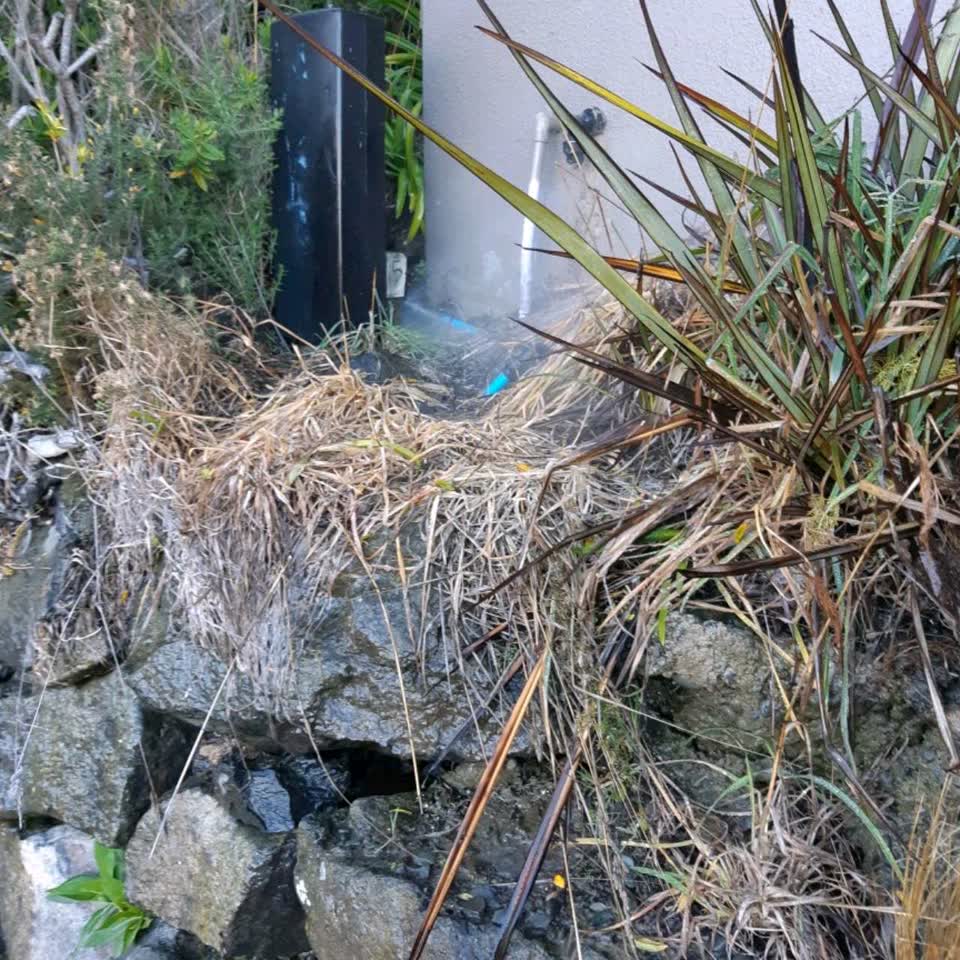 The photograph attached to this water supply report