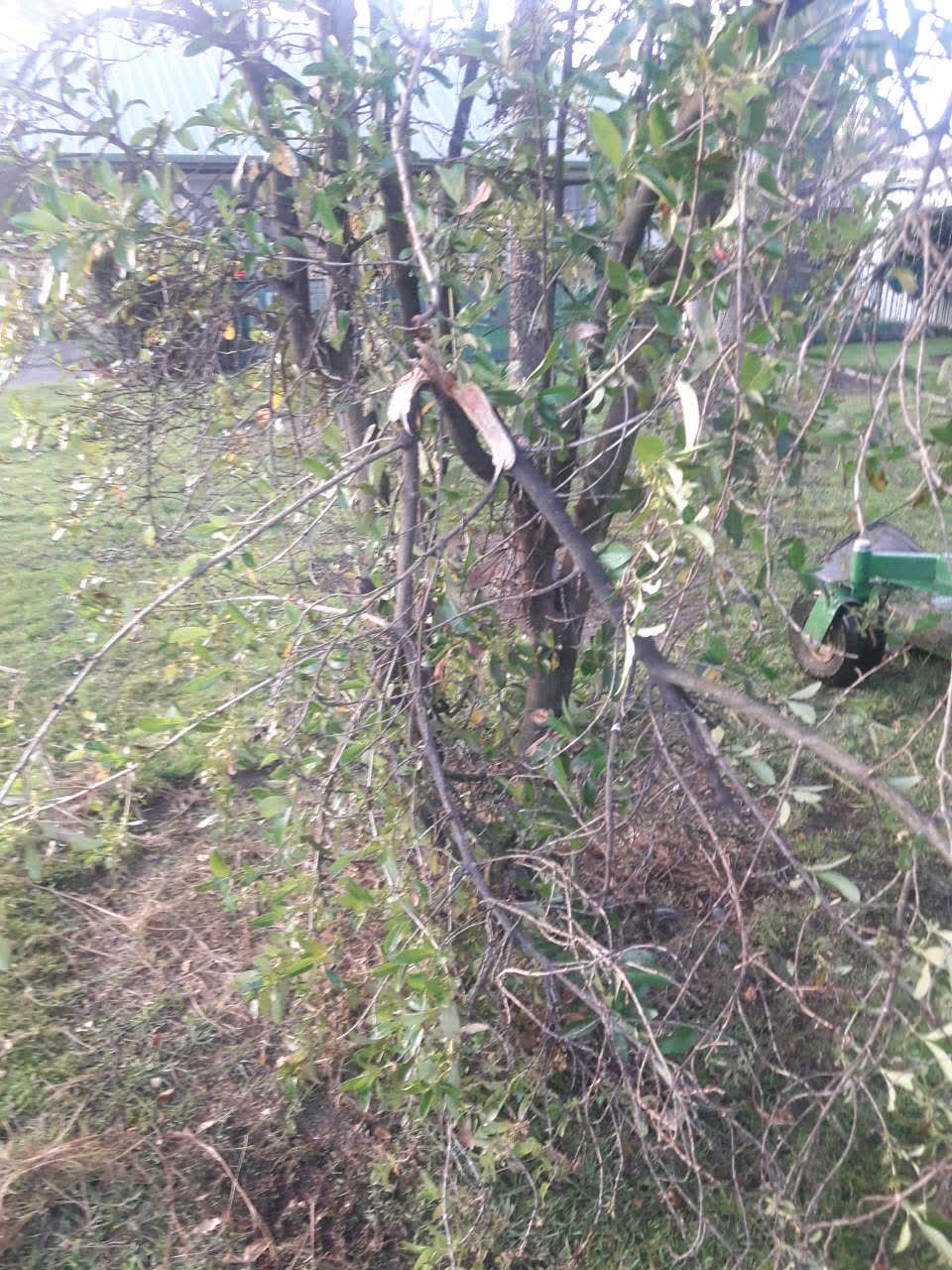 The photograph attached to this parks report