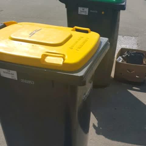 Rubbish/Recycling, a report photo