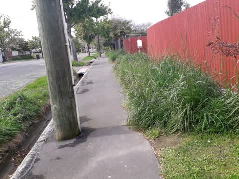 Roading/Streets, a report photo