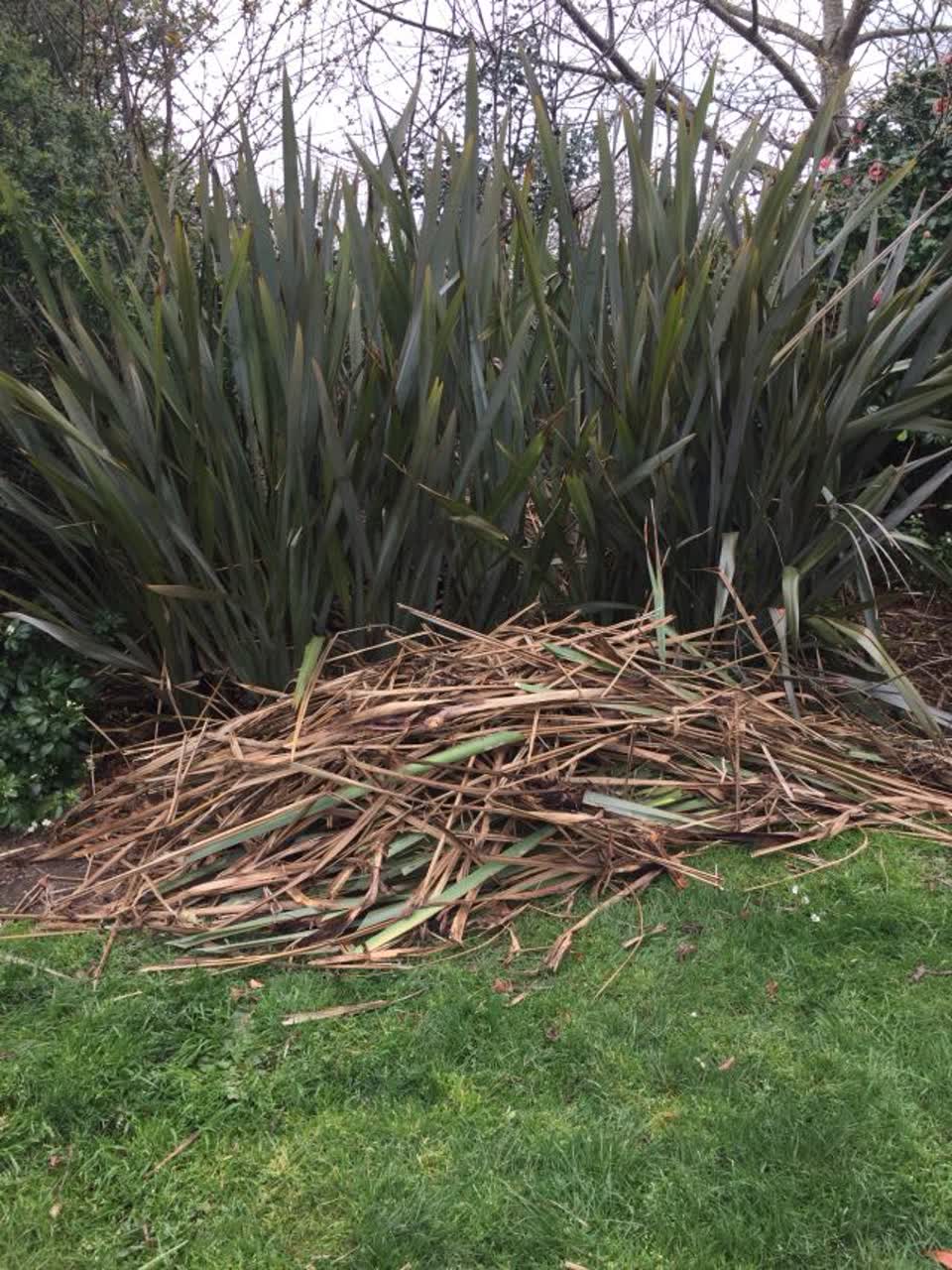 The photograph attached to this parks report