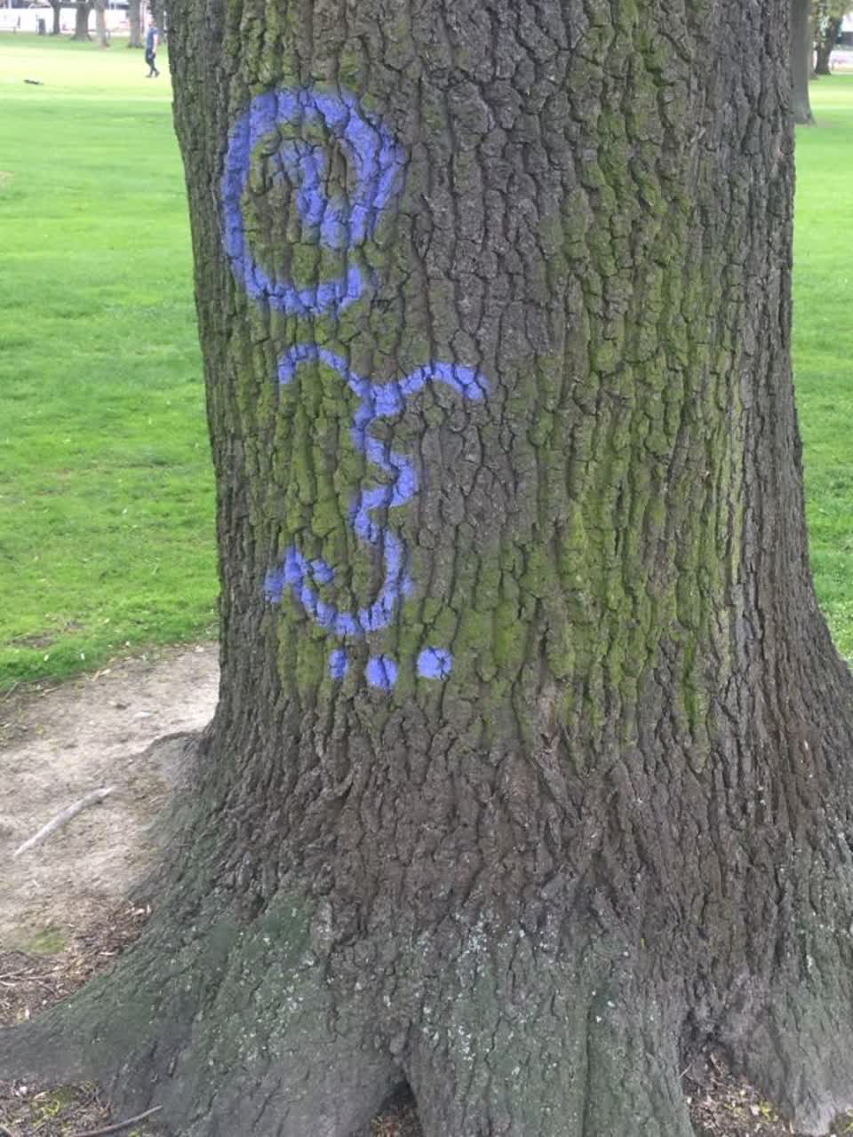 The photograph attached to this graffiti report