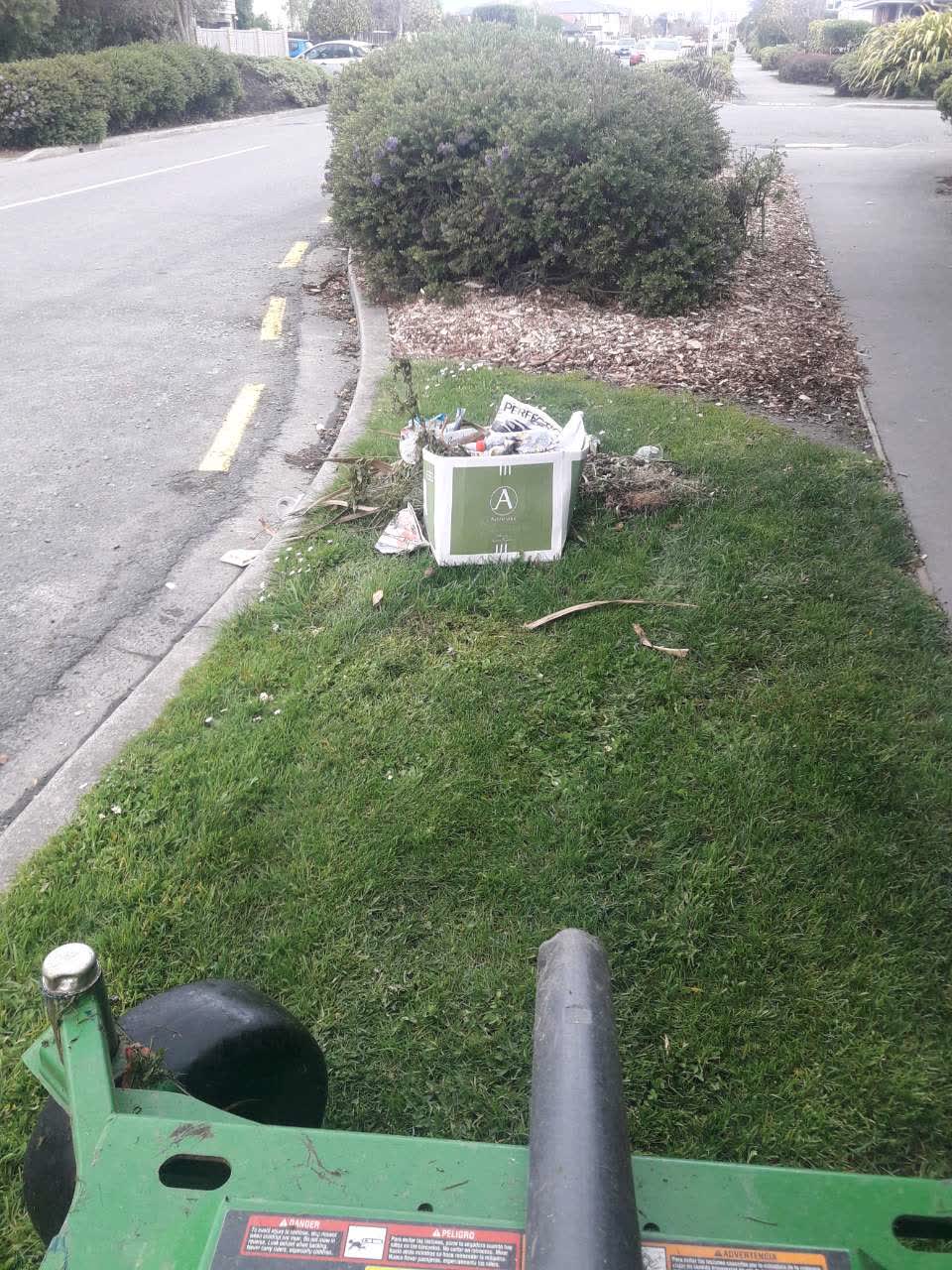 The photograph attached to this parks report