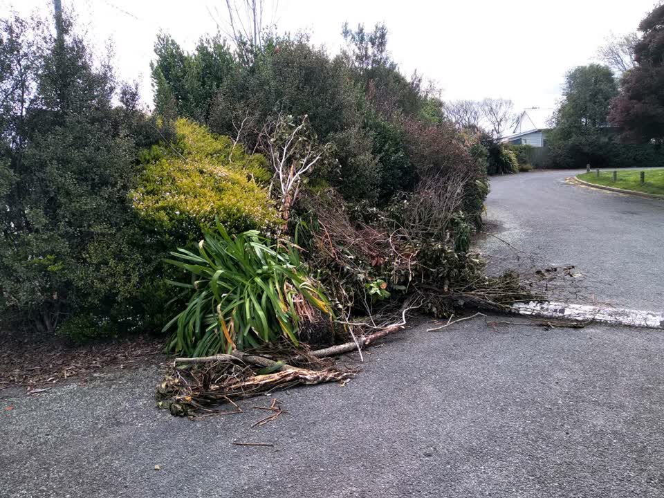 The photograph attached to this parks report