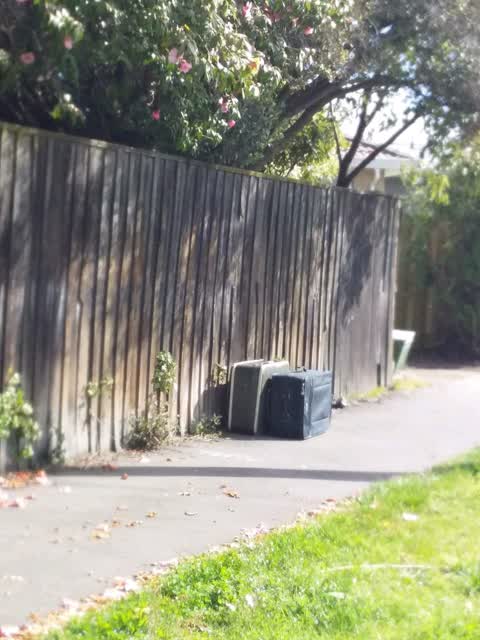 Rubbish/Recycling, a report photo