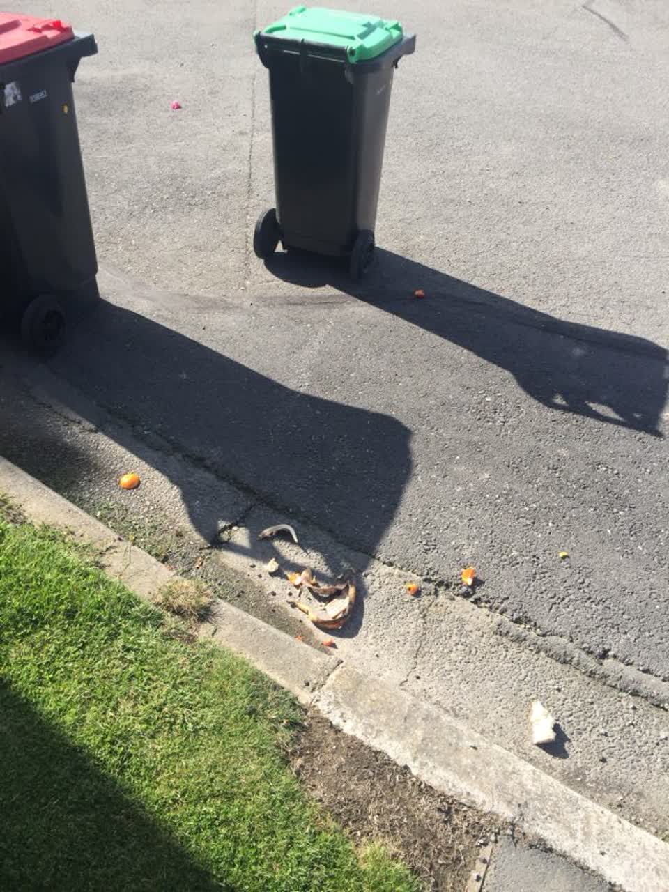 The photograph attached to this rubbish/recycling report