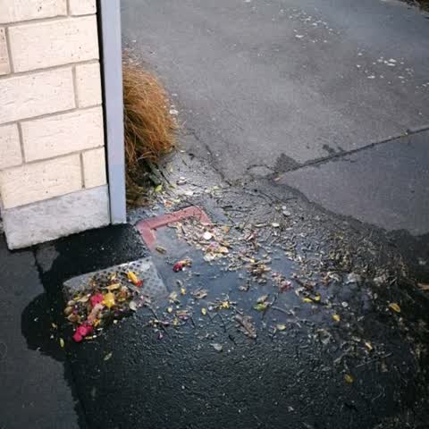 Roading/Streets, a report photo