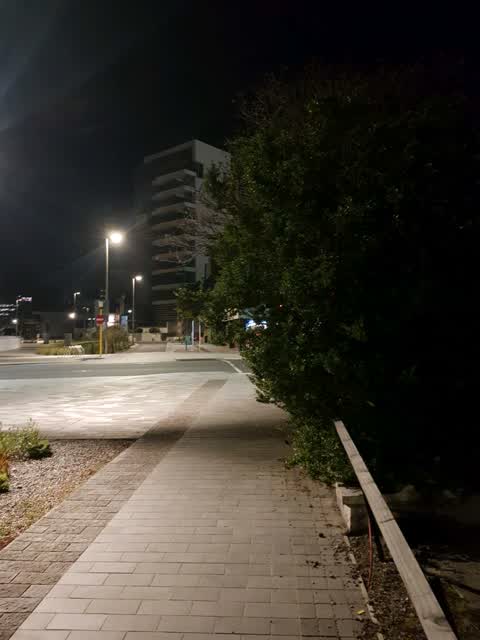 Roading/Streets — a report photo