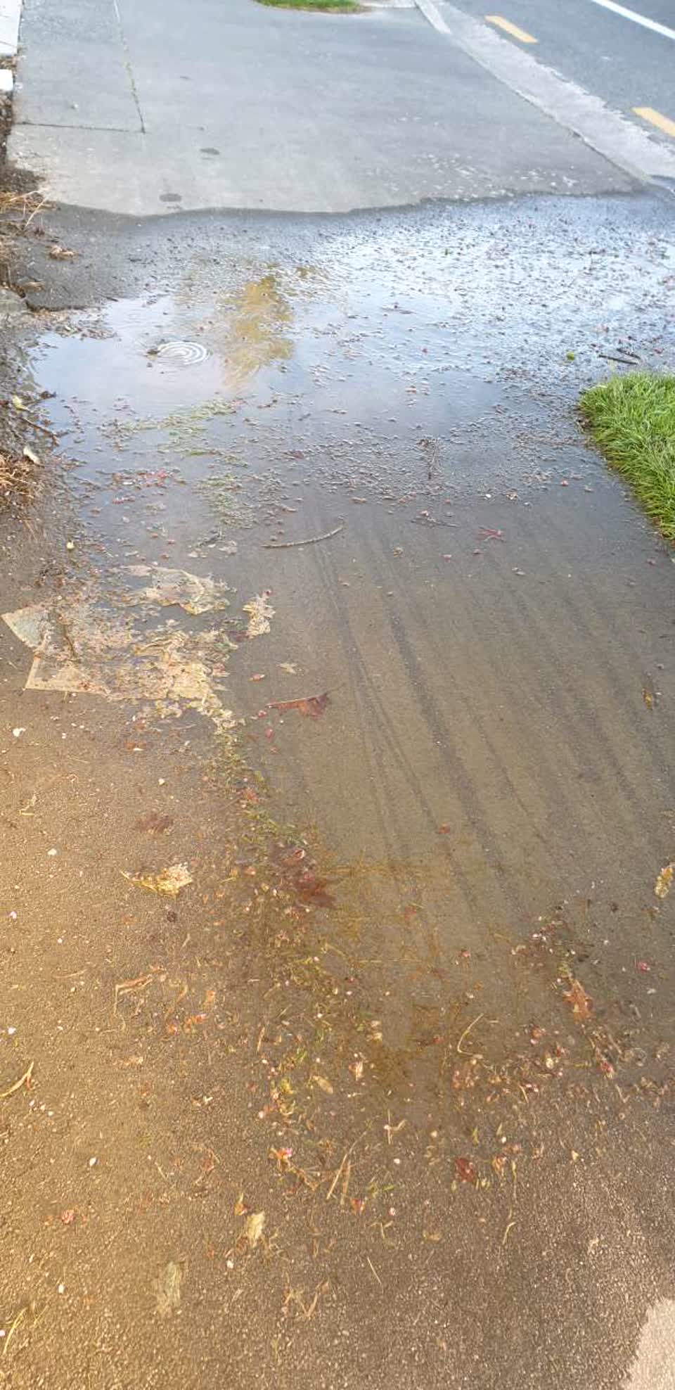 The photograph attached to this water supply report
