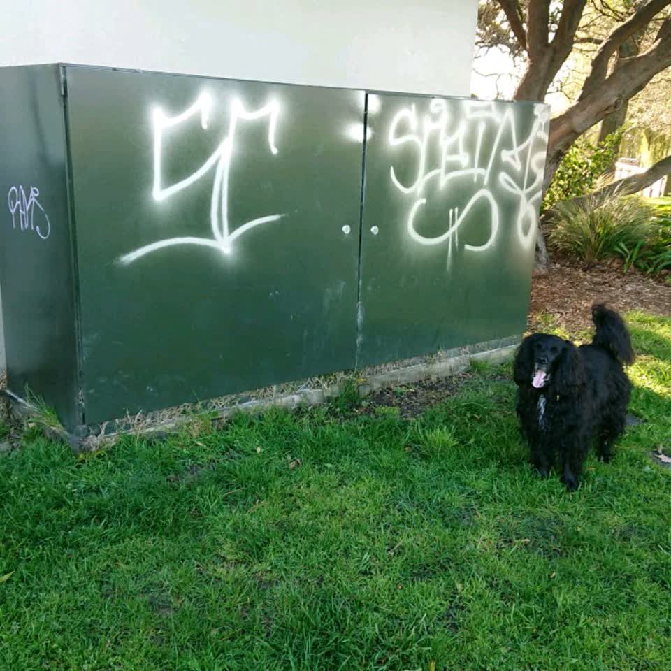 The photograph attached to this graffiti report