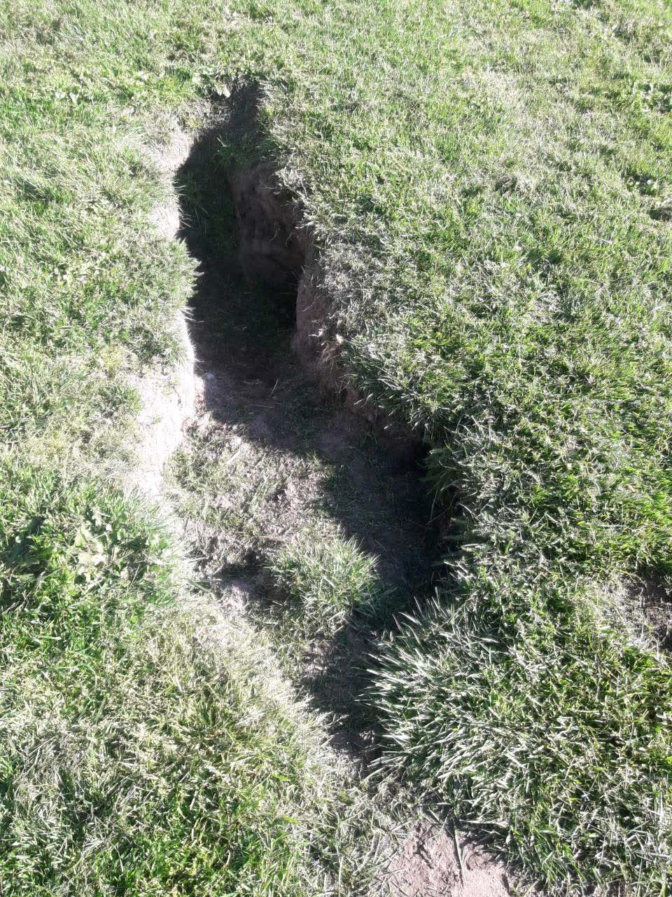 The photograph attached to this parks report